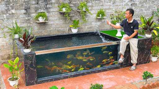 Hồ cá Koi hiện đại sử dụng vật liệu kính và bê tông sang trọng
