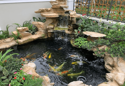 Hòn non bộ trang trí hồ cá koi tạo sự sinh động