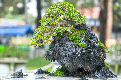 Mẫu hòn non bộ mini cho không gian nhỏ