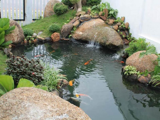 Chọn vị trí và hướng đặt thích hợp