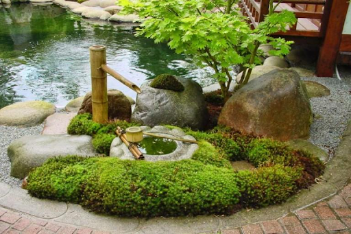 Vườn tiểu cảnh Nhật Bản với đá và cây cối tinh tế