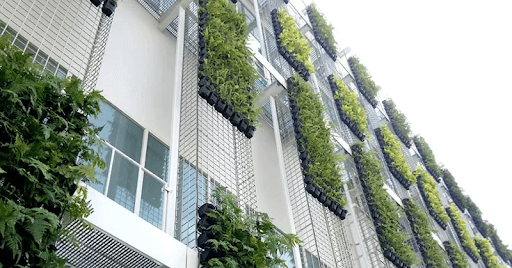 Các ứng dụng phong phú của thiết kế thi công vườn tường đứng