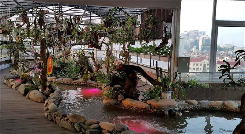 Tiểu cảnh sân thượng phong cách Nhật Bản với hồ cá Koi