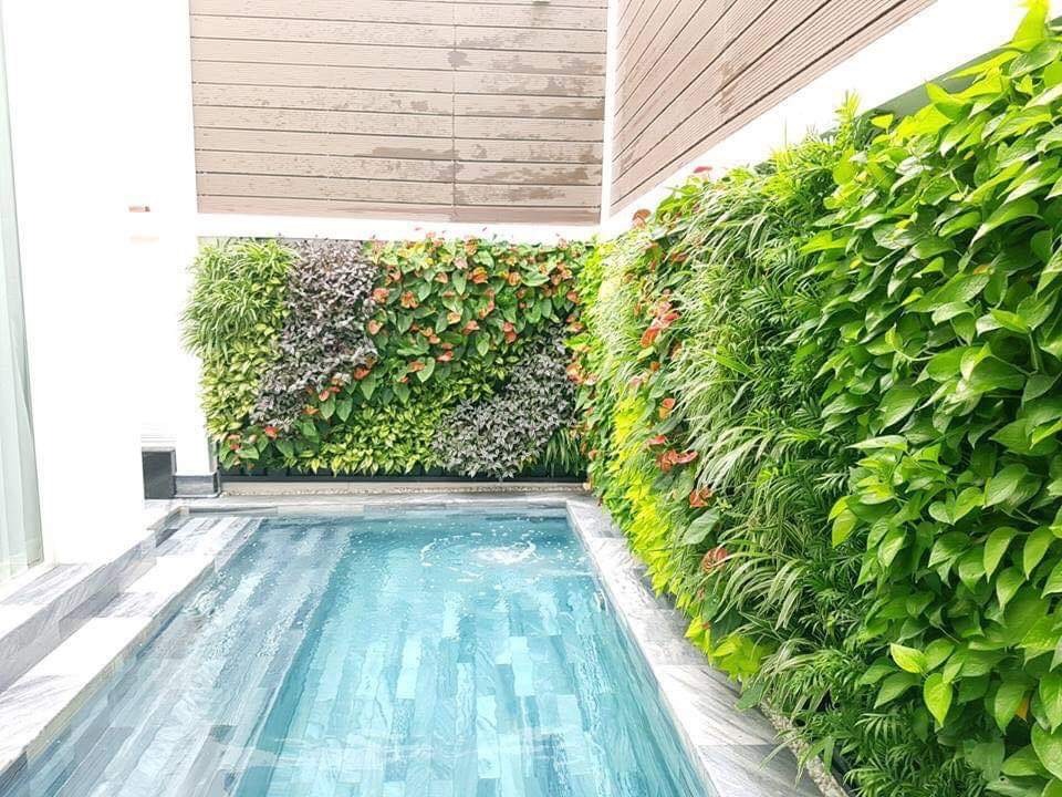 Thiết kế vườn tường đứng với hệ thống tưới tiêu tự động