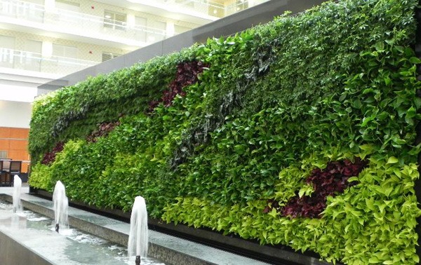 Mẫu vườn tường đứng kết hợp cây xanh và đá tự nhiên