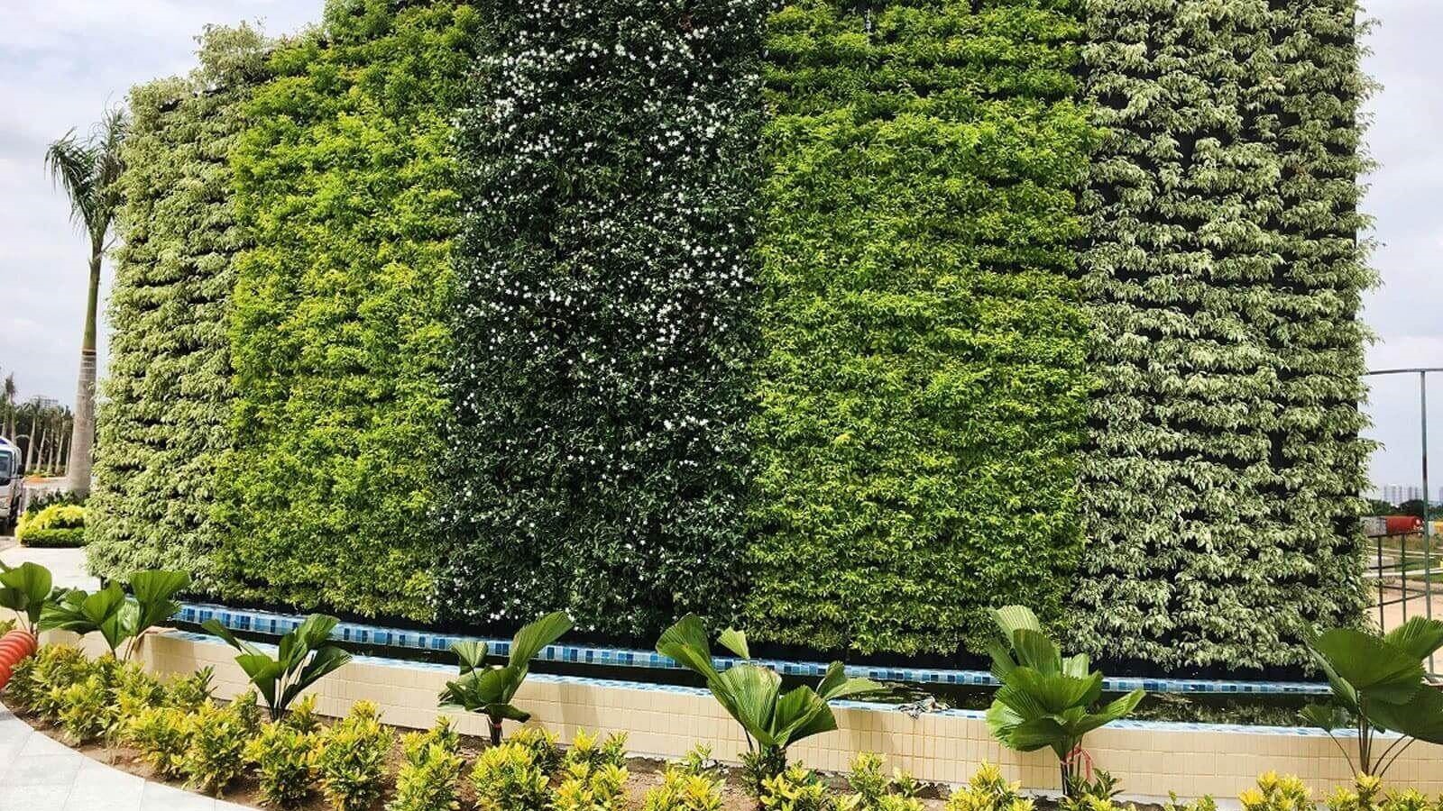 Vườn tường đứng xen kẽ hoa và cây lá màu sắc