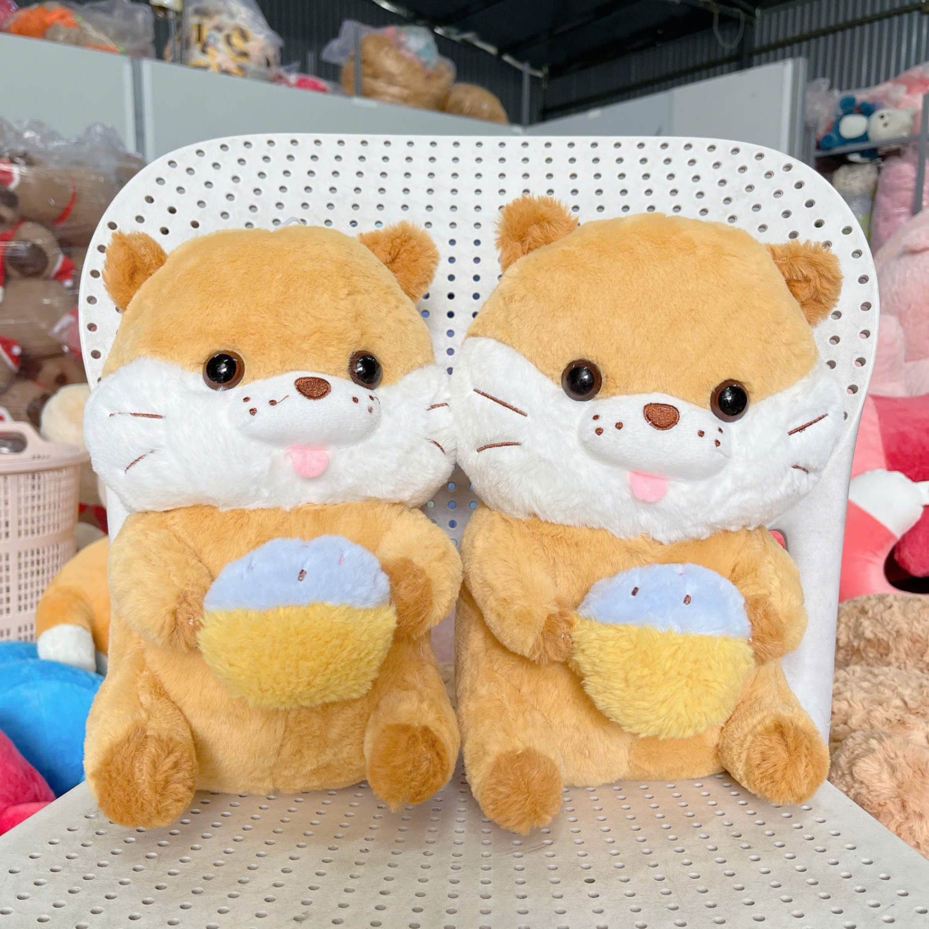 ĐG 30cm mèo ôm bánh