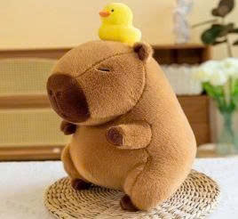 ĐG 50cm Capybara Đội Vịt