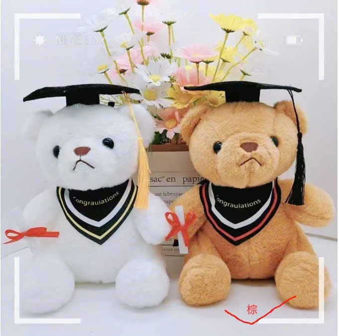 GN 25cm Gấu Tốt Nghiệp Đeo Yếm