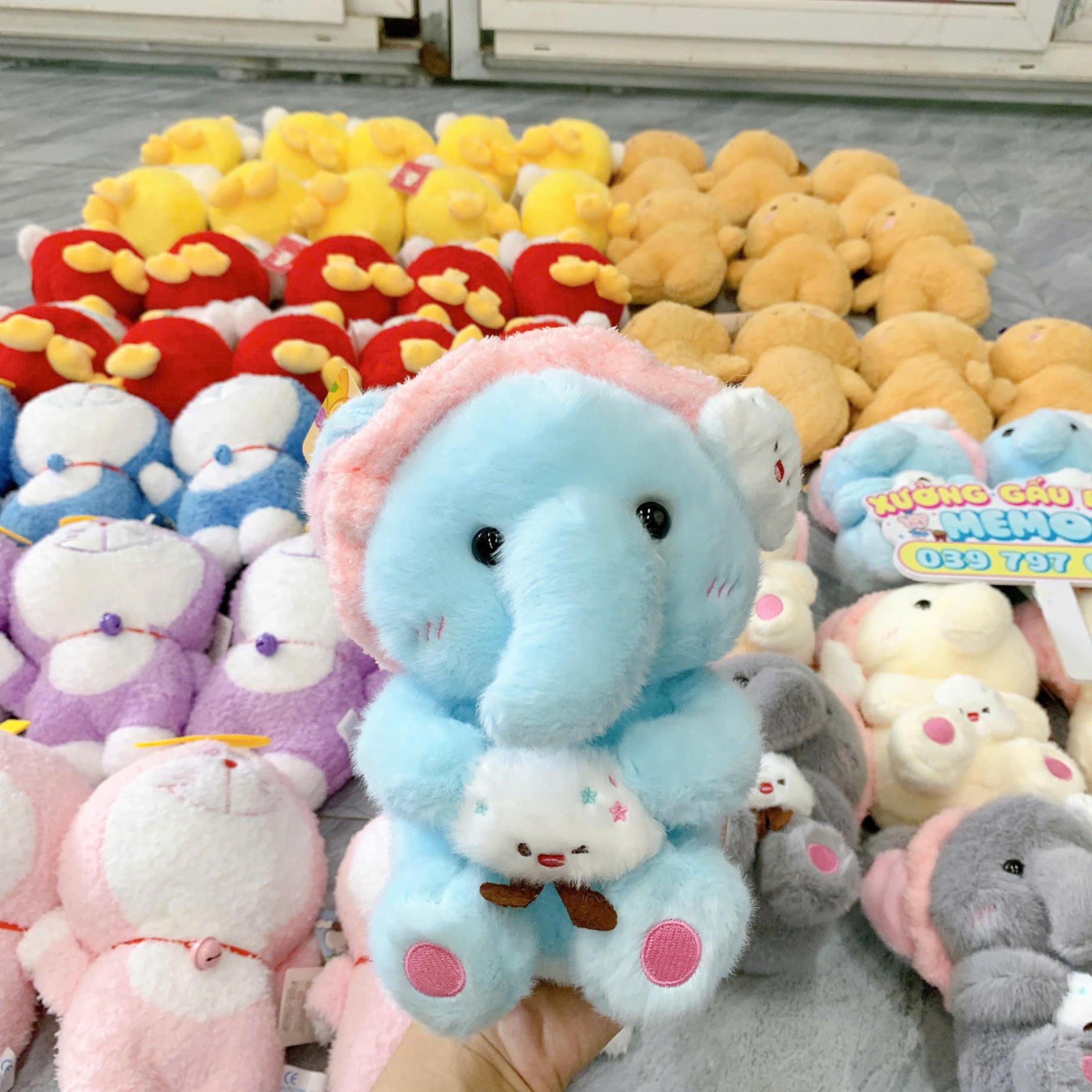 GN 25cm Voi Đội Băng Đô