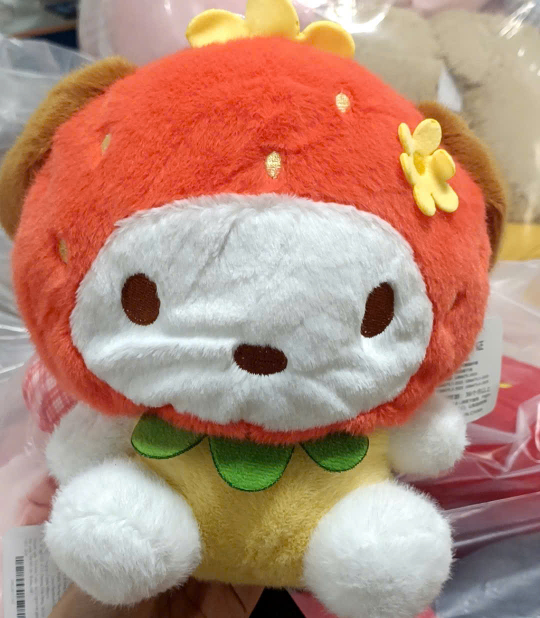 GN Chó Đầu Quả Hồng