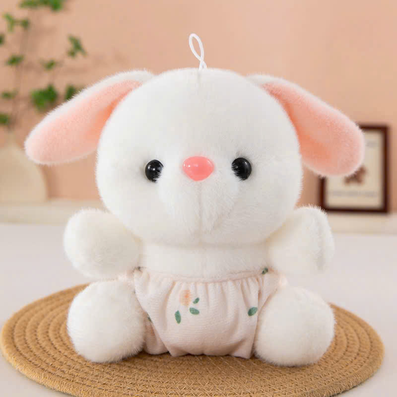 GN Thỏ Quần Chíp