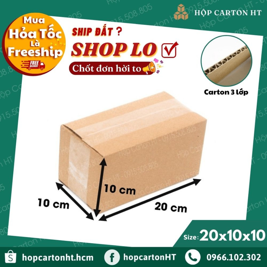 Hộp carton E  20x10x10