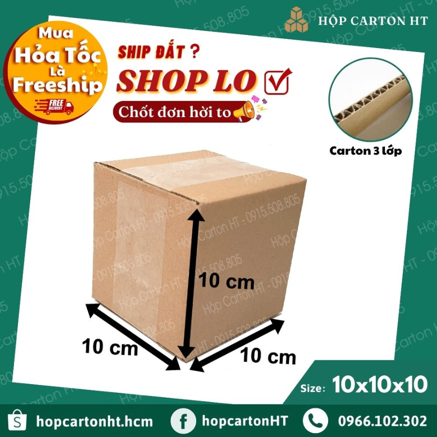 Hộp carton  E 10x10x10