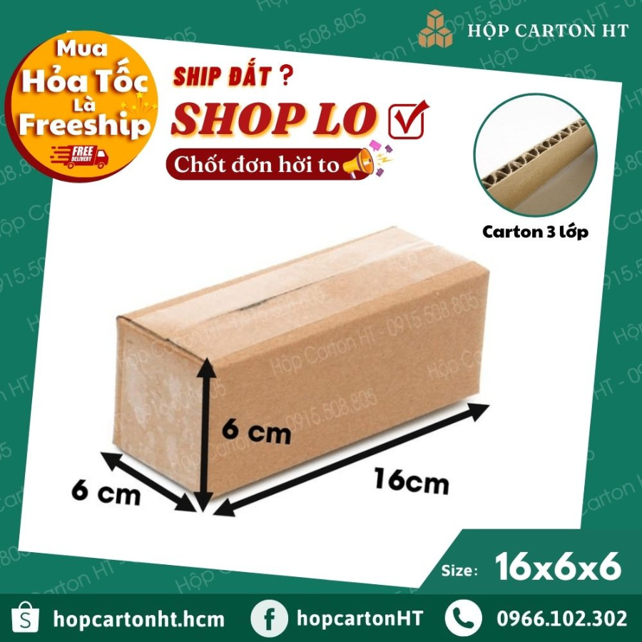 Hộp carton  E 16x6x6