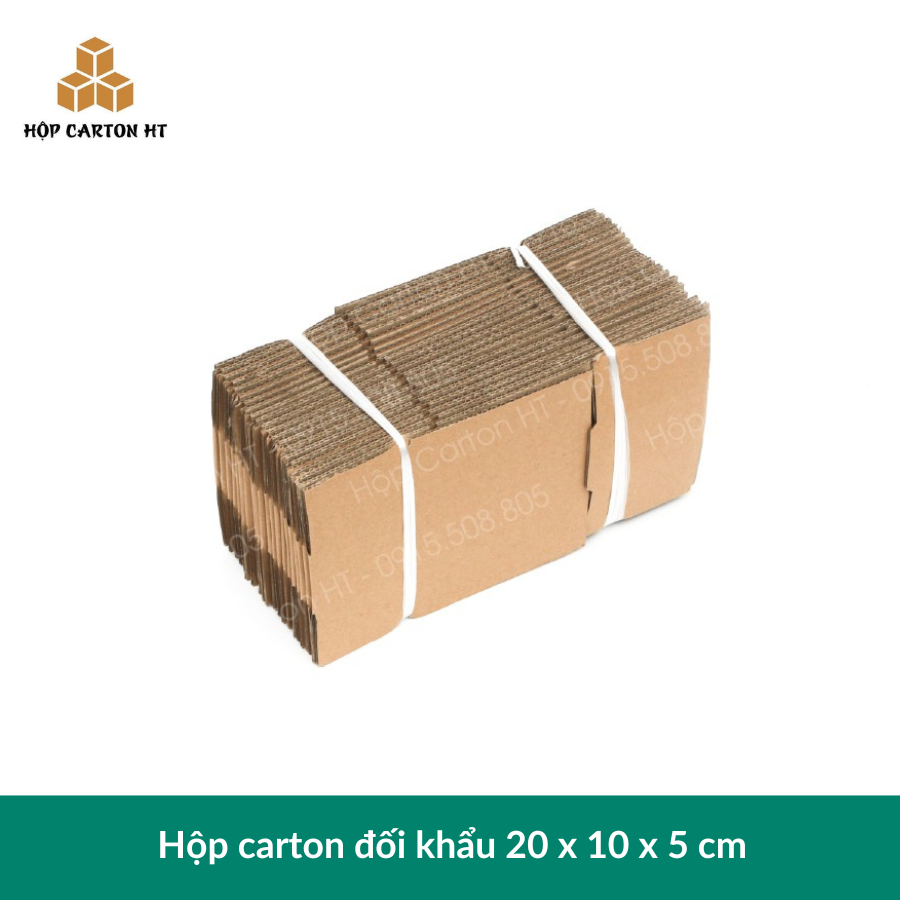 Hộp carton E  20x10x5