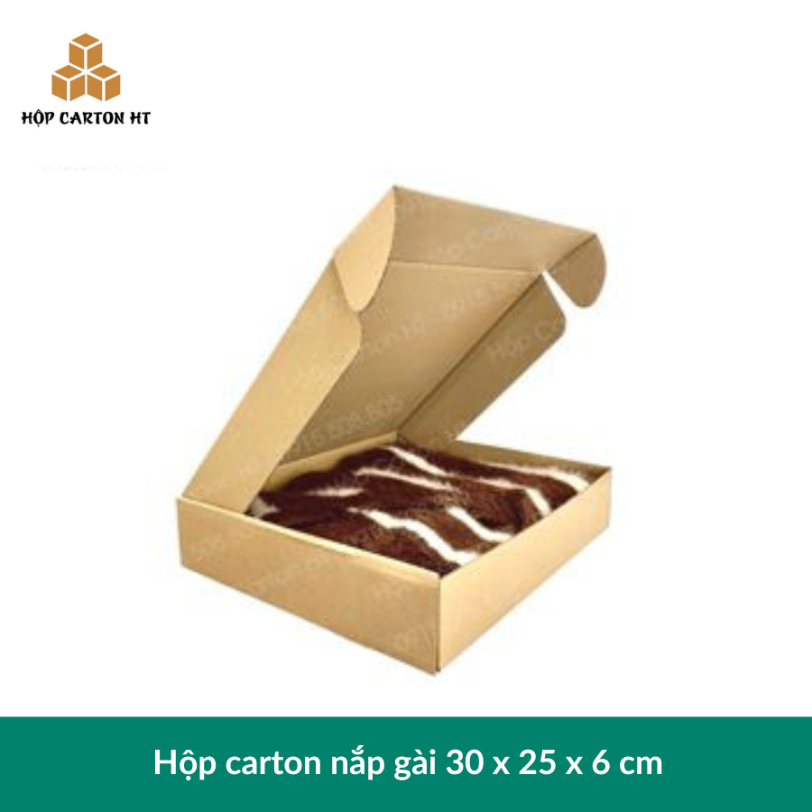 Hộp carton E 2 nâu nắp cài chùm 30x25x6