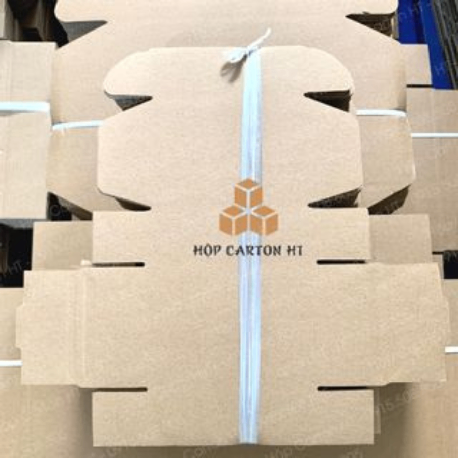 Hộp carton E 2 nâu nắp cài chùm 18x12x4