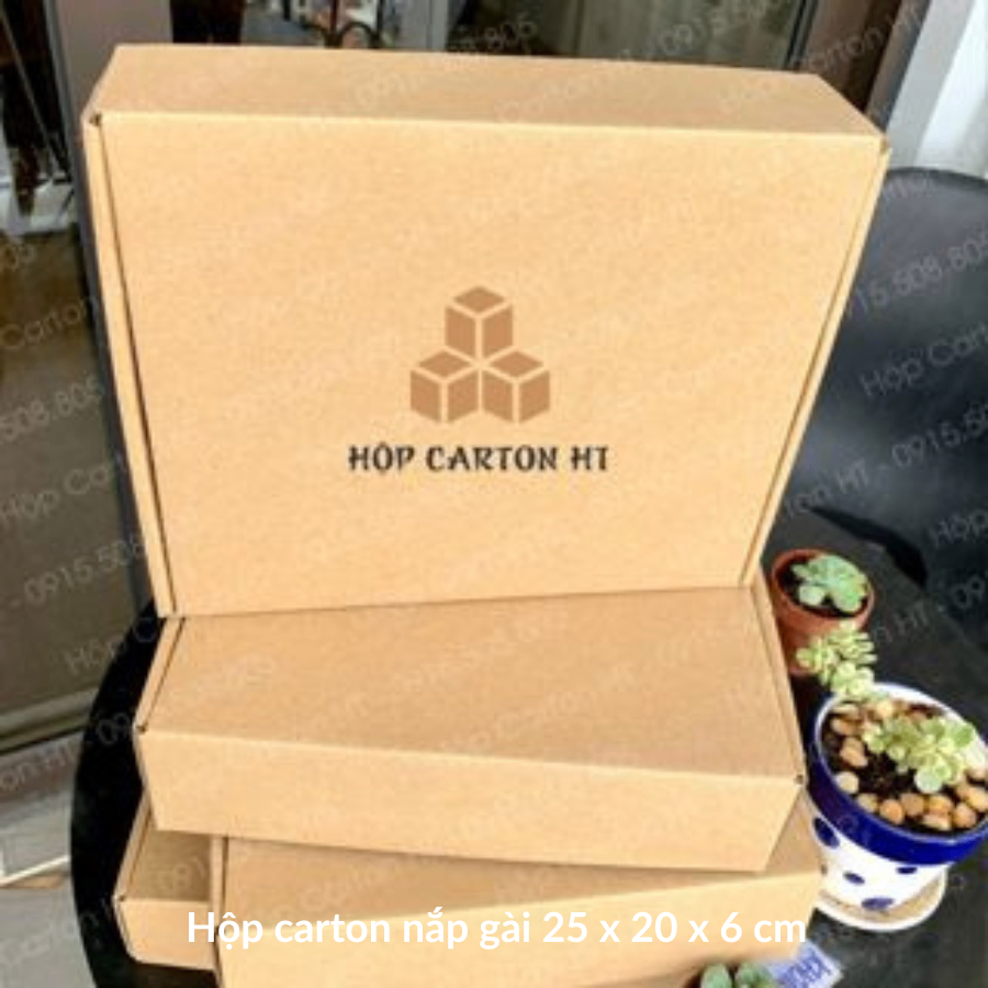 Hộp carton E 2 nâu nắp cài chùm 30x25x6