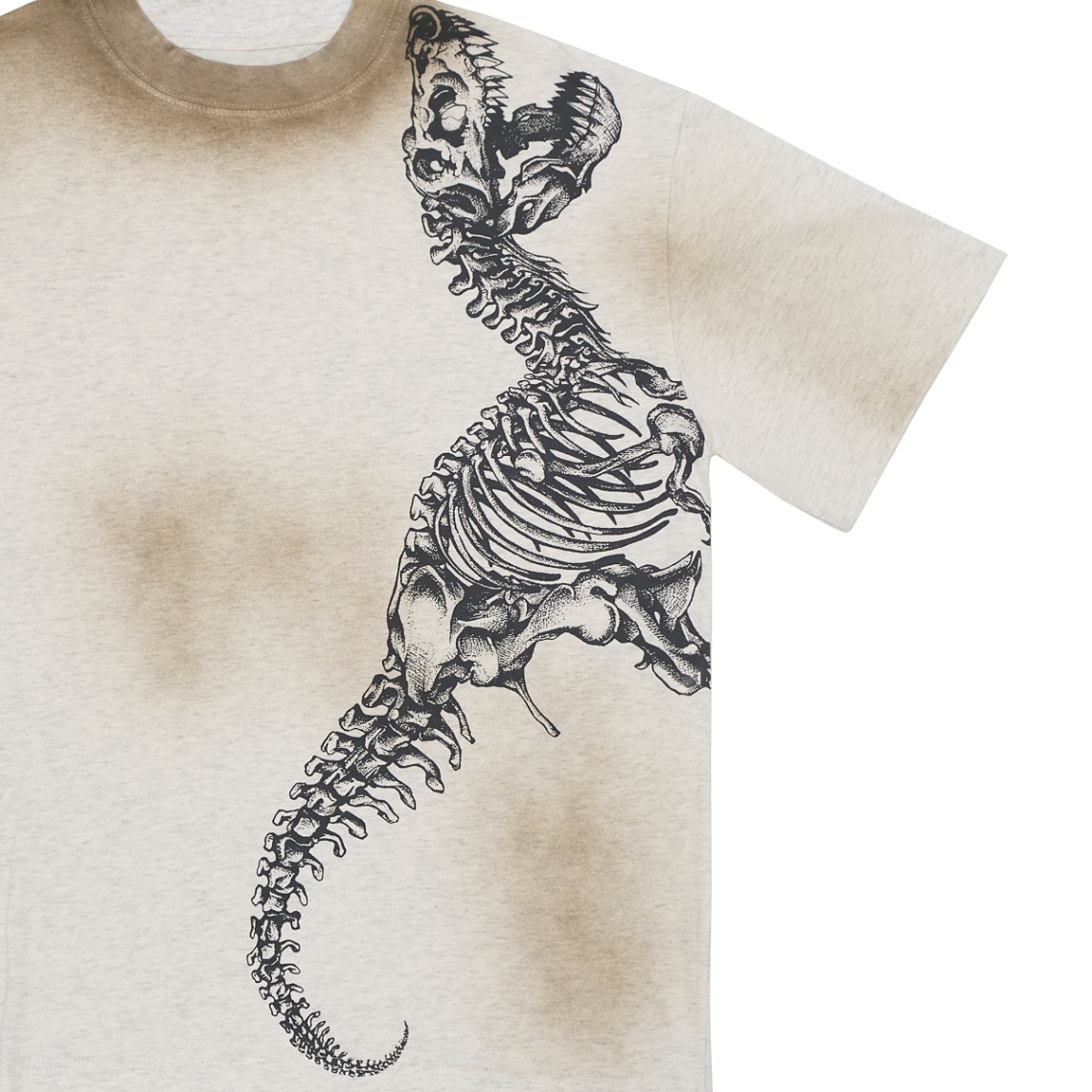 Half Dino Boxy Tee - DirtWash