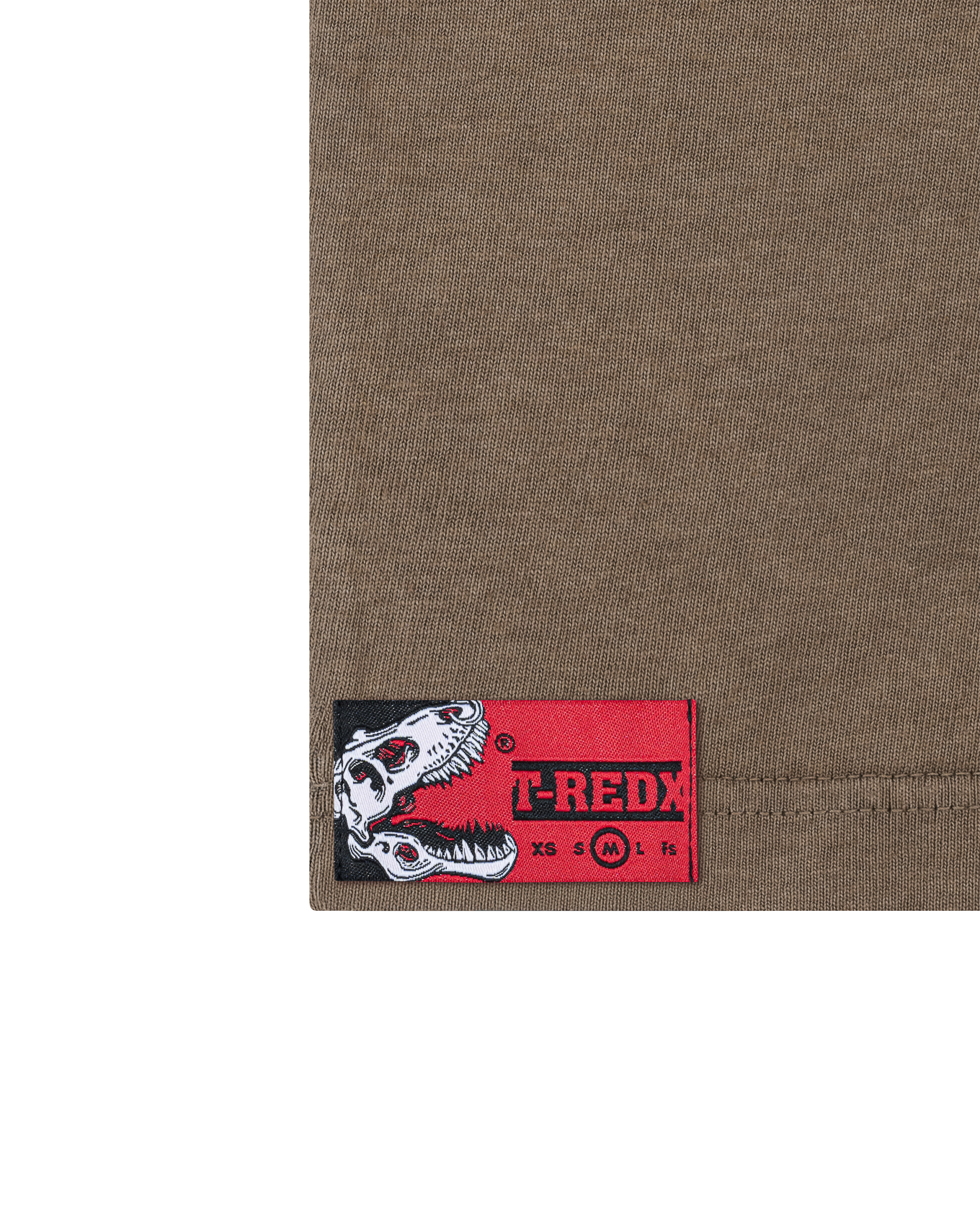 CRACKDINOEDX WASHED TEE - MOCHA