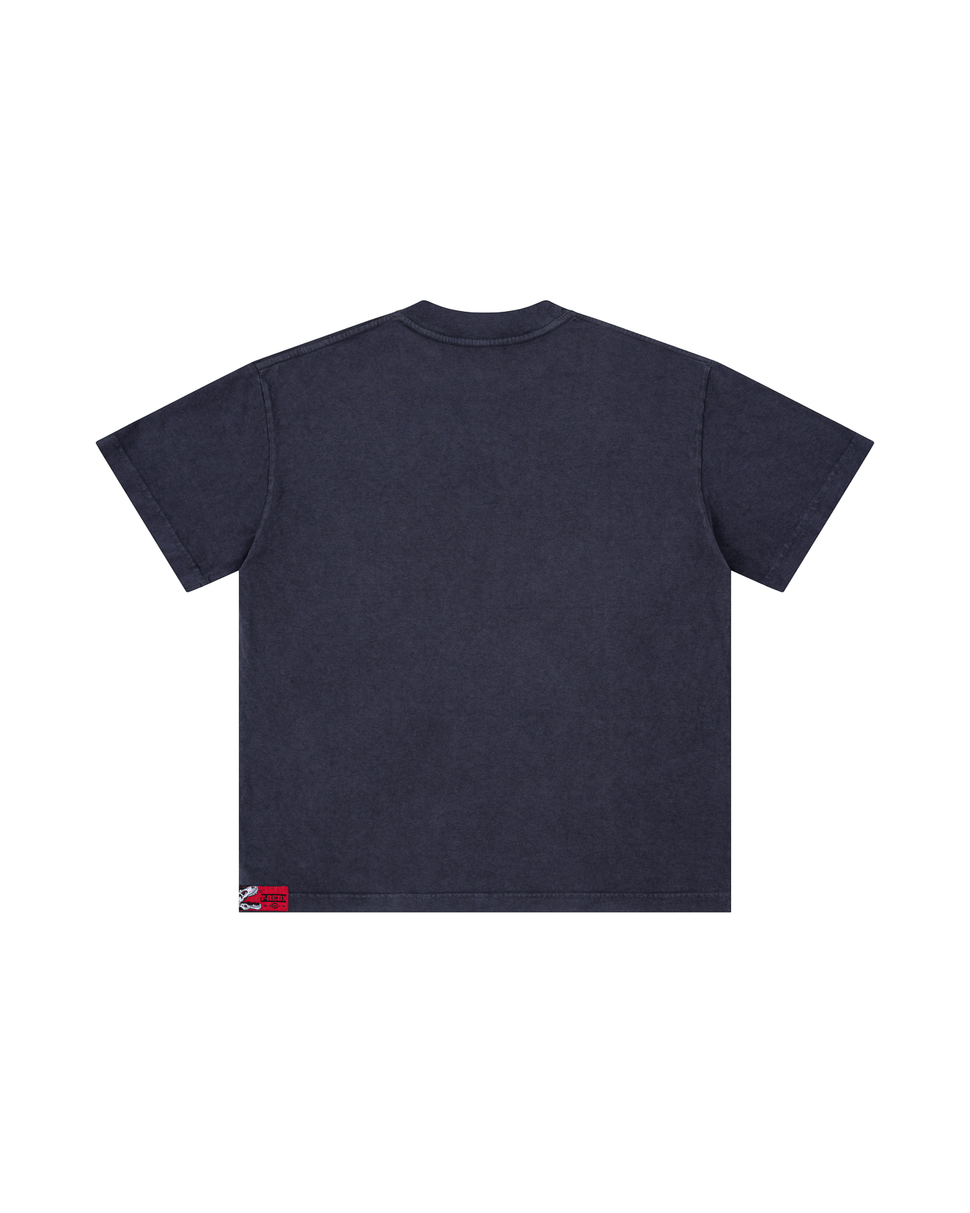 CRACKDINOEDX WASHED TEE - PURPLE