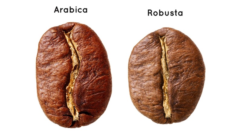 Việt Nam chủ yếu trồng cà phê Robusta, cà phê Arabica cũng được trồng tại một số vùng có khí hậu mát và cao độ lớn