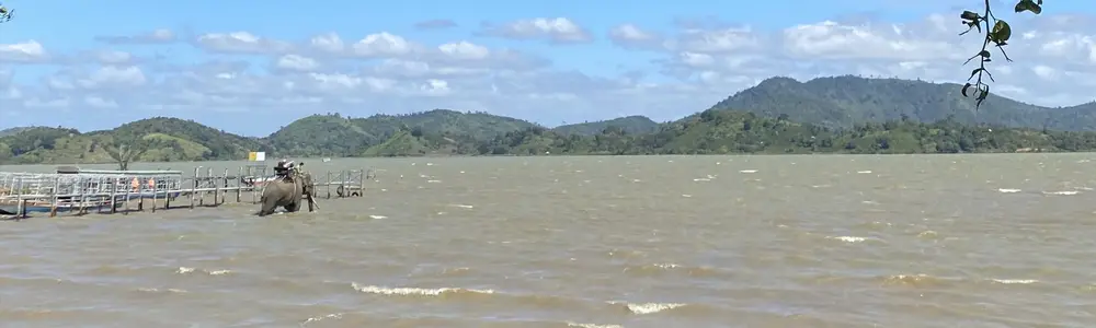Khám phá Hồ Lắk - “Nàng thơ” của núi rừng Tây Nguyên hoang dã