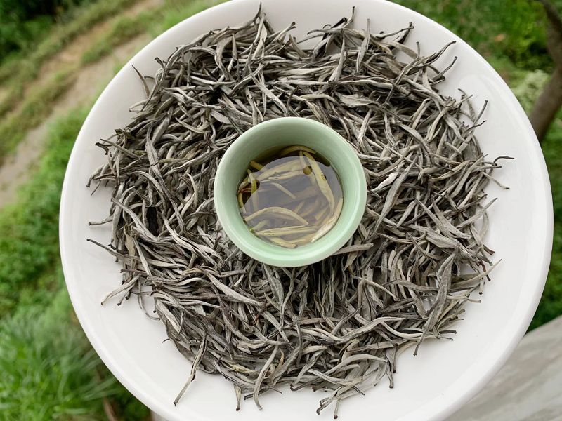 Cận cảnh búp trà Shan Tuyết khô với lớp lông tơ trắng mịn đặc trưng