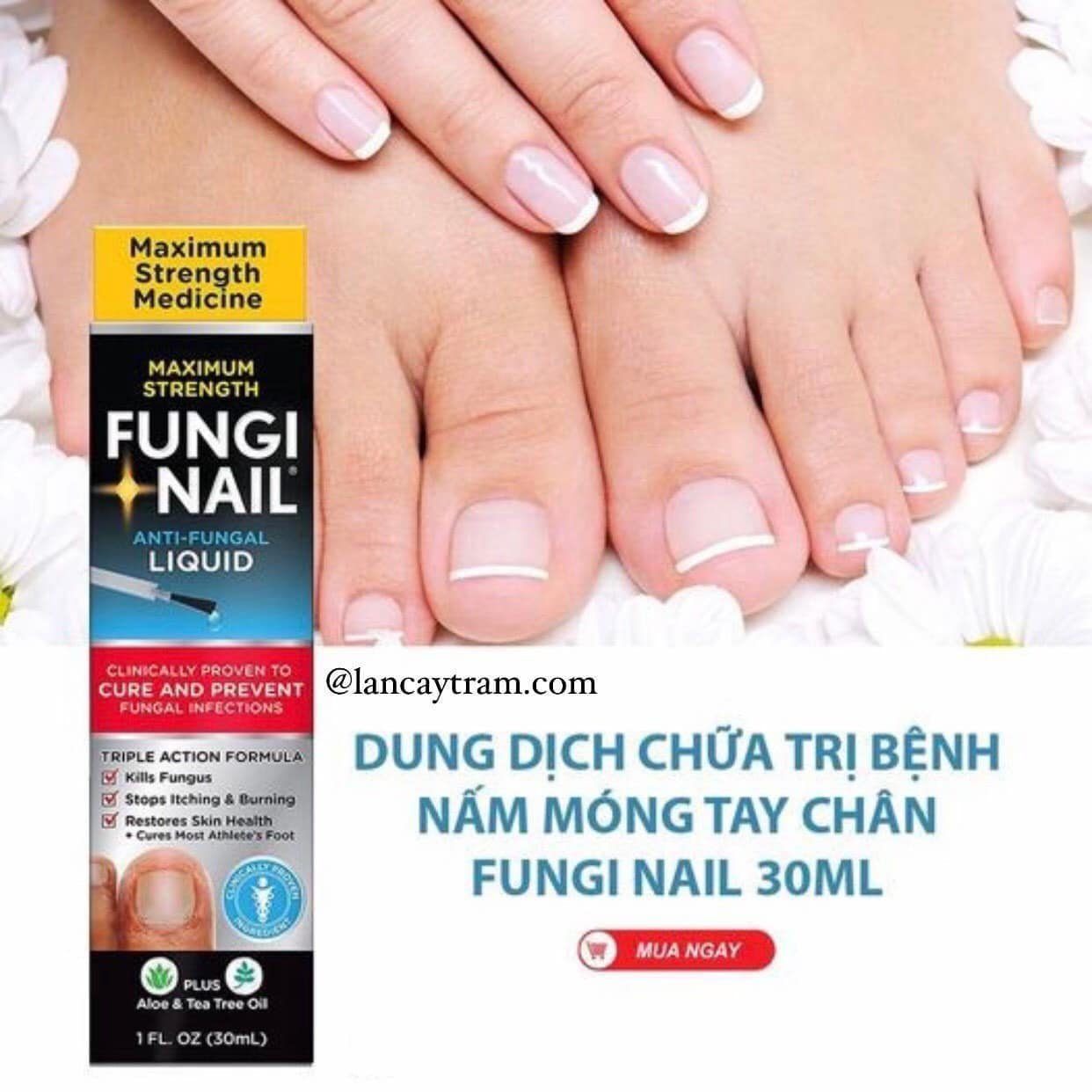 Fungi Nail Maximum Strength Anti-Fungal Liquid - Dung Dịch Diệt Nấm Móng Hiệu Quả