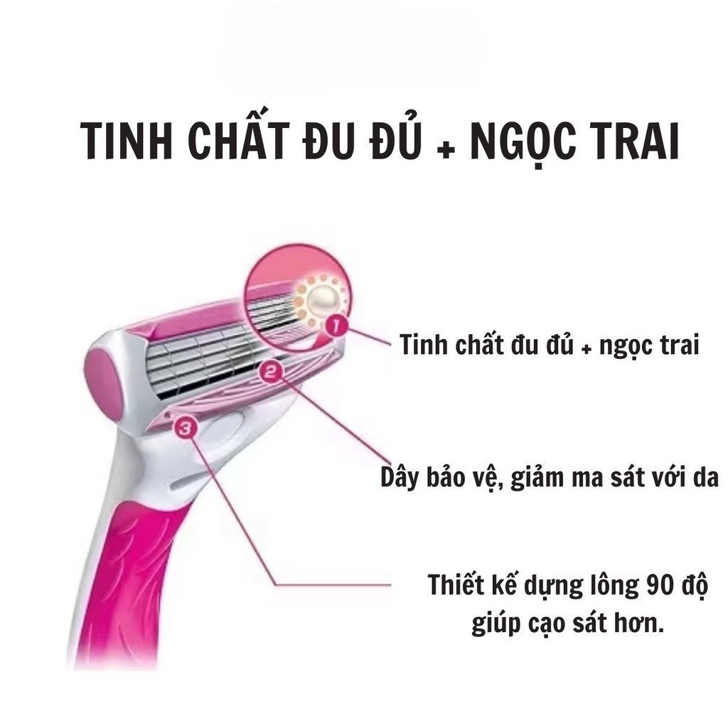 Schick Quattro for Women Razor - Dao Cạo Nữ 4 Lưỡi Hương Raspberry Rain,