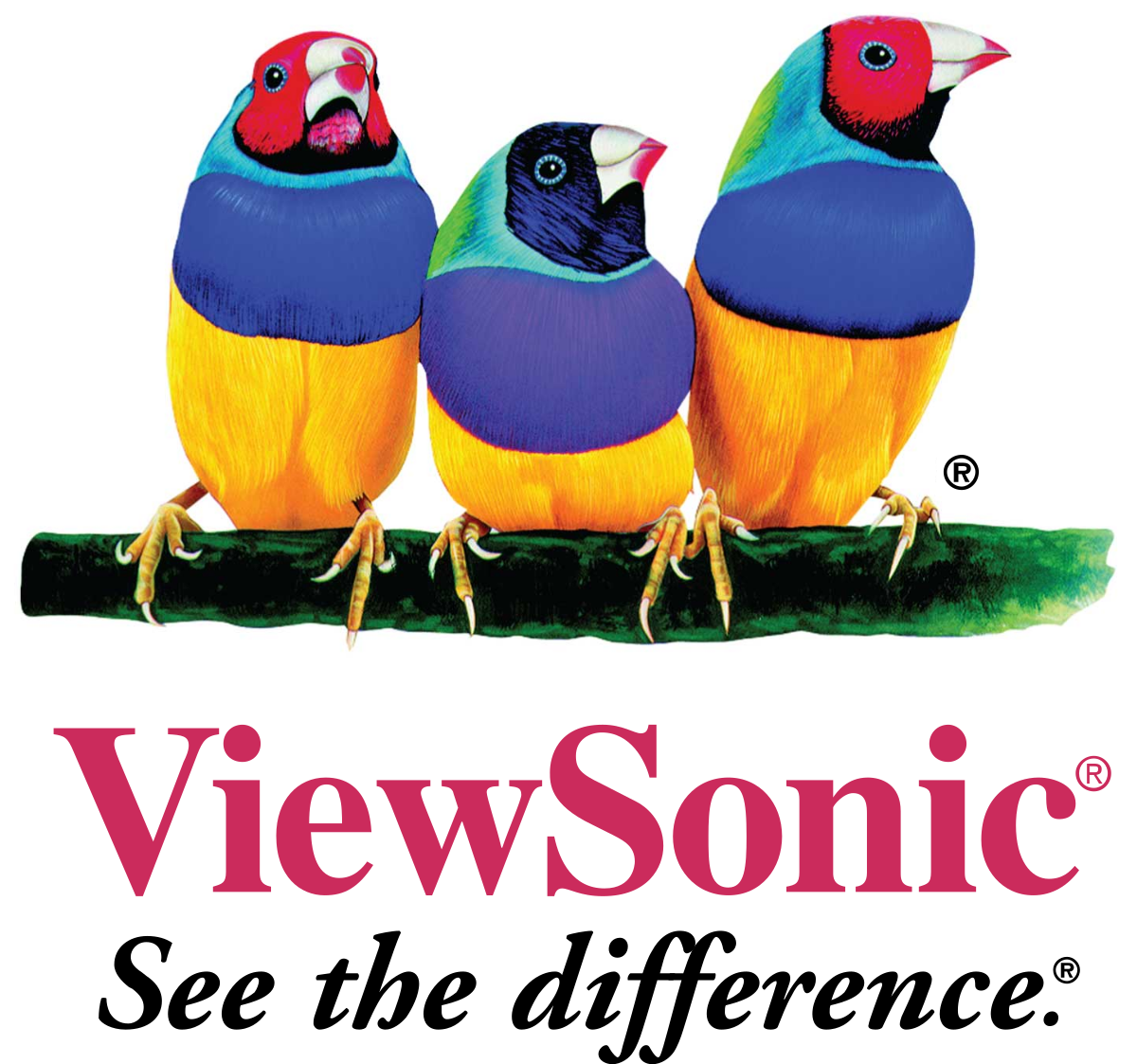 ViewSonic