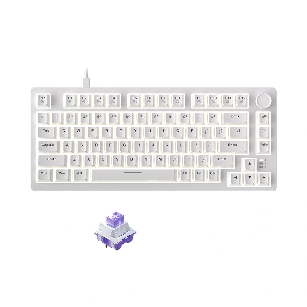 Bàn phím cơ Dare-U EK75 White (2Sides RGB Strips, Type-C), Dream(Liner) Switch