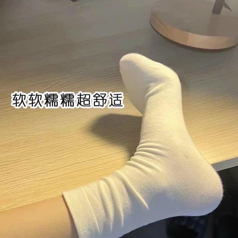 SÉT 10 ĐÔI TẤT LEN XUẤT HÀN CAO CỔ M0512