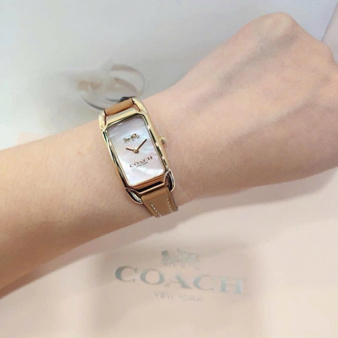 ĐỒNG HỒ COACH AUTH TUỒN XỊN