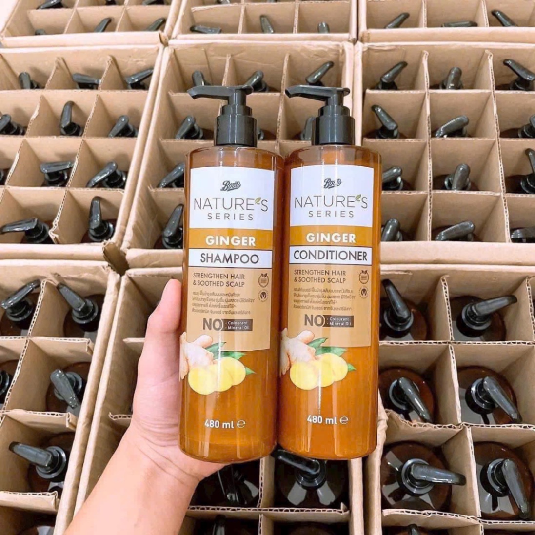 DẦU GỘI XẢ GỪNG THÁI LAN