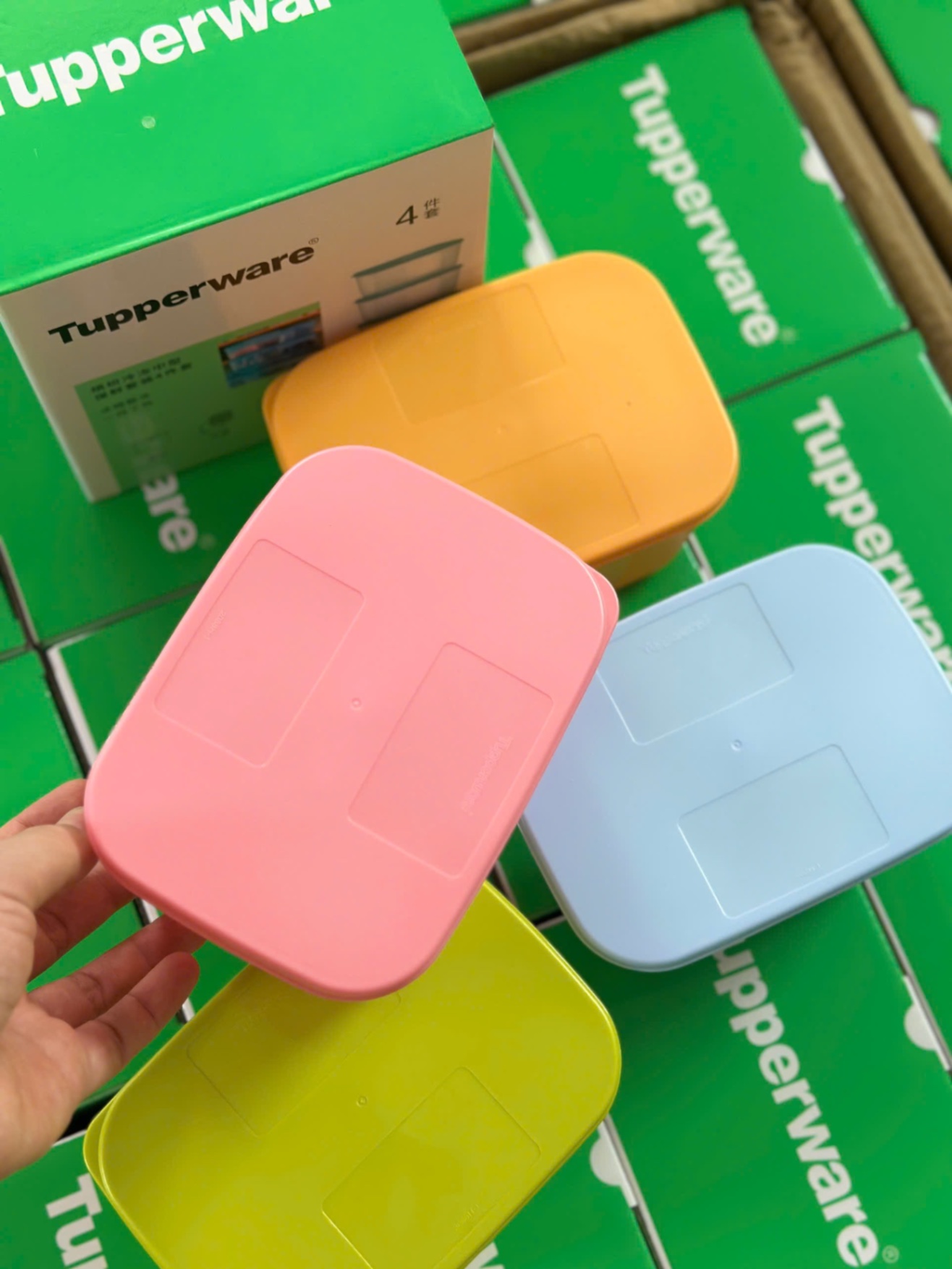 SET 4 HỘP TUP FULL BOX XANH LÁ