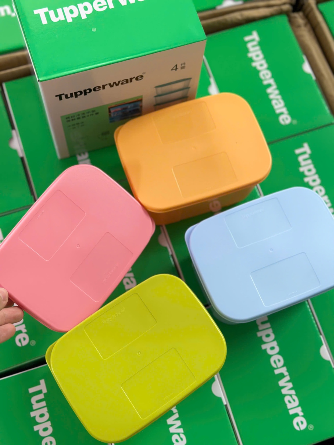 SET 4 HỘP TUP FULL BOX XANH LÁ