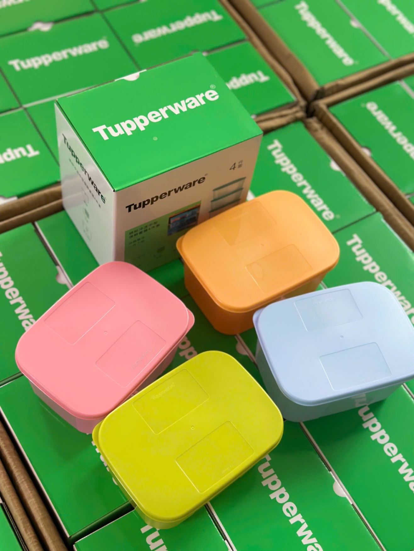 SET 4 HỘP TUP FULL BOX XANH LÁ