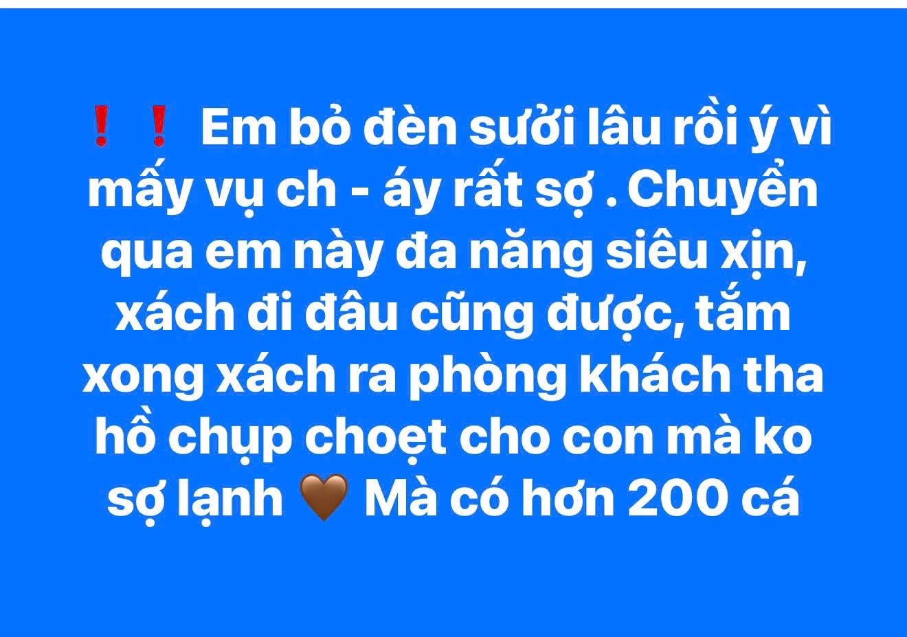 ĐÈN SƯỞI MELING