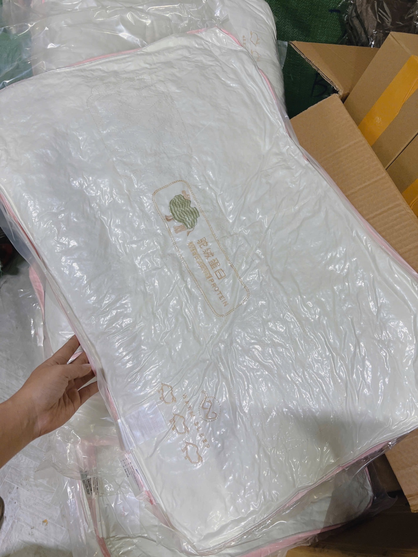 SET 2 GỐI PROTEIN LẠC ĐÀ