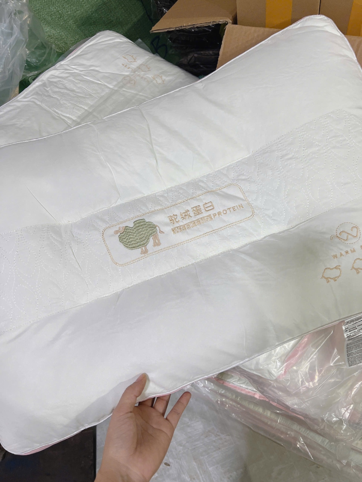 SET 2 GỐI PROTEIN LẠC ĐÀ