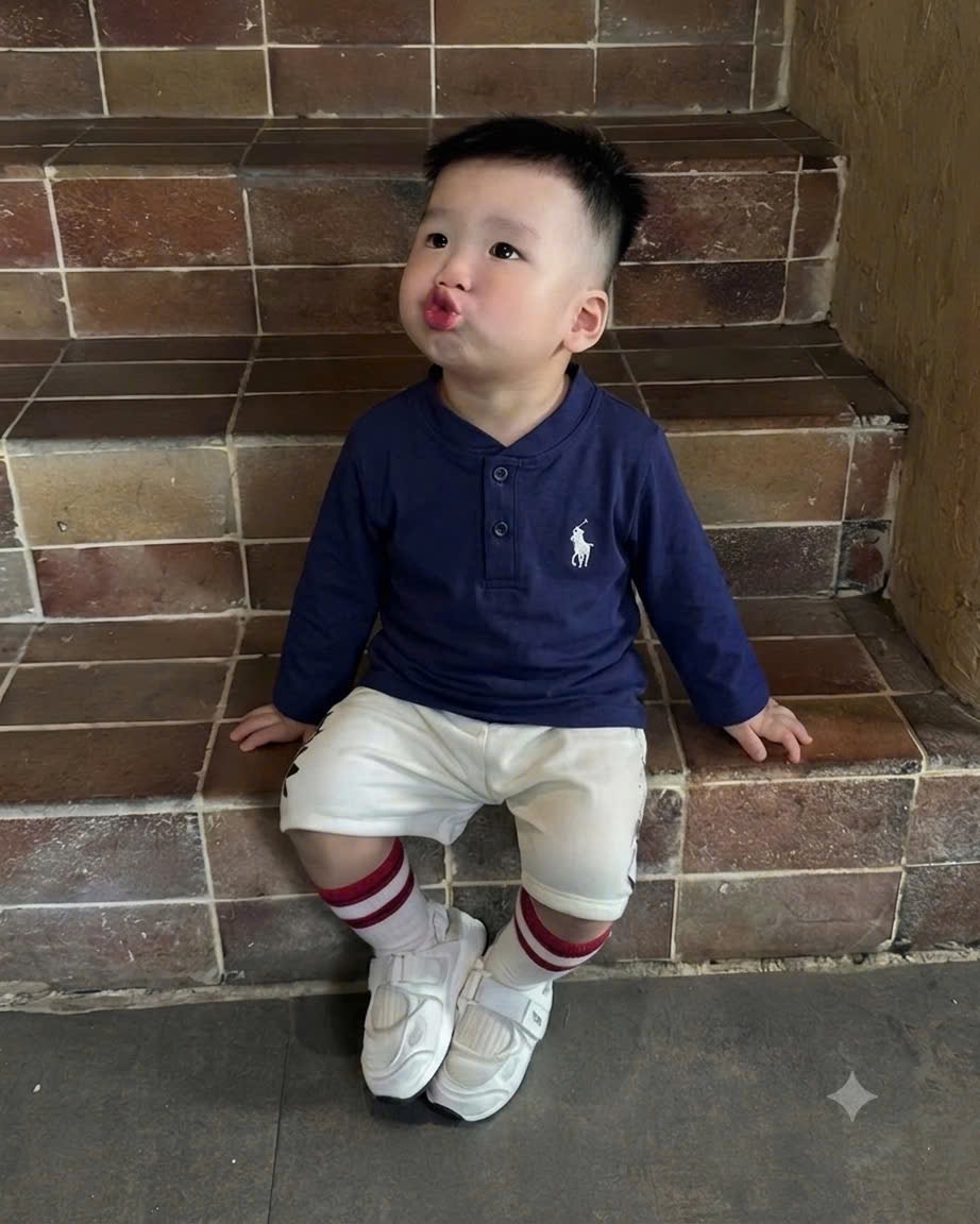 GOM- SÉT 4 ÁO DÀI TAY THÊU NGƯA CHO BT