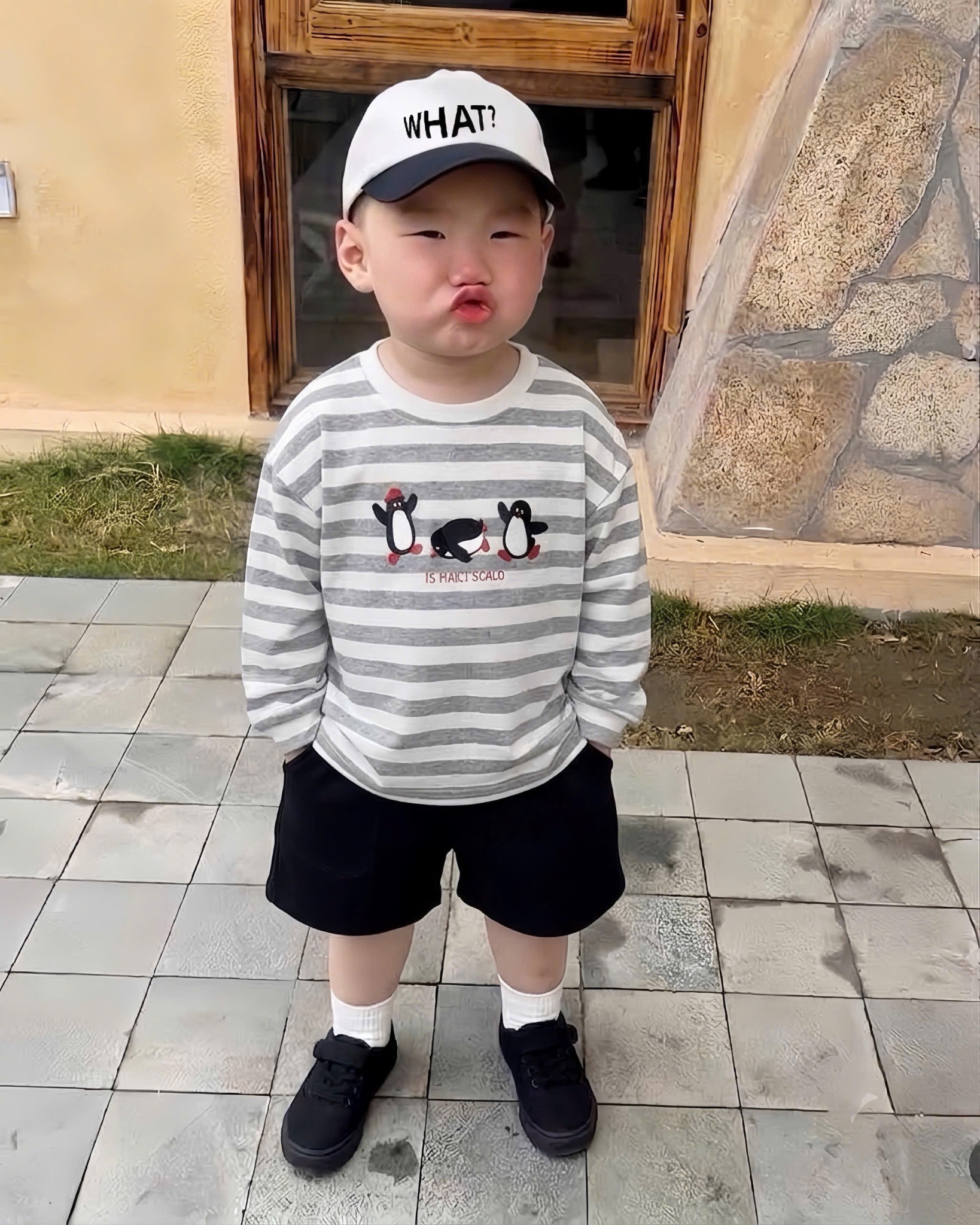 SÉT 3 ÁO GIẤY COTTON HÌNH CON VẬT CHO BÉ GÁI
