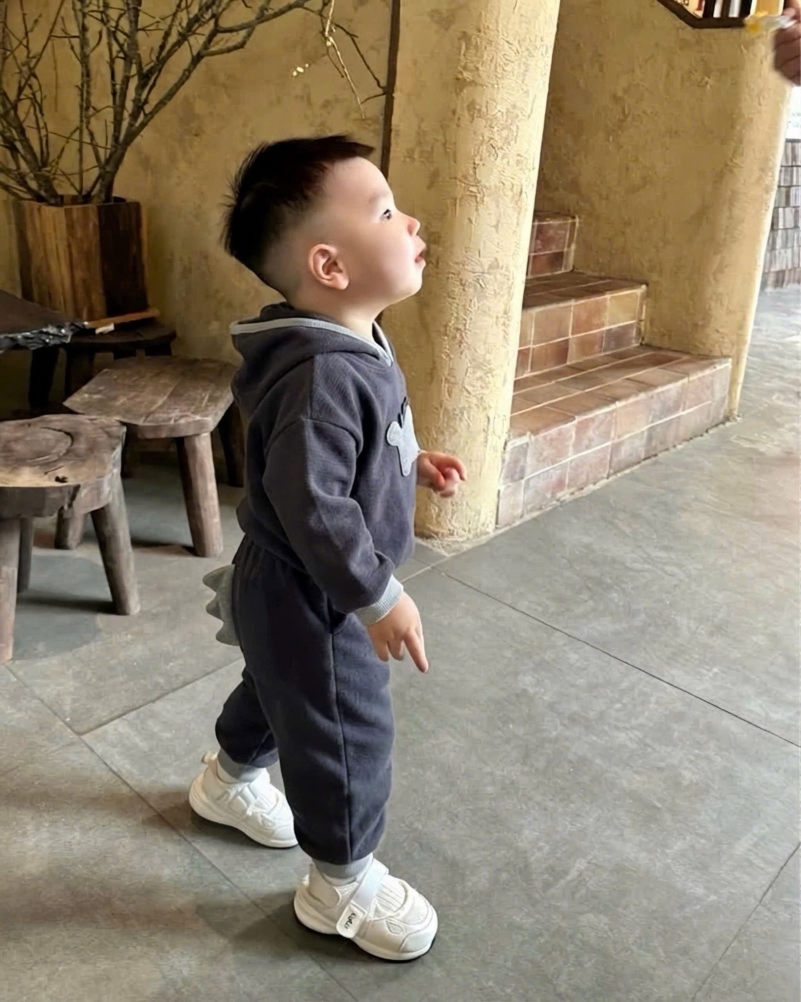 BỘ NỈ KHUNG LONG CHO BT