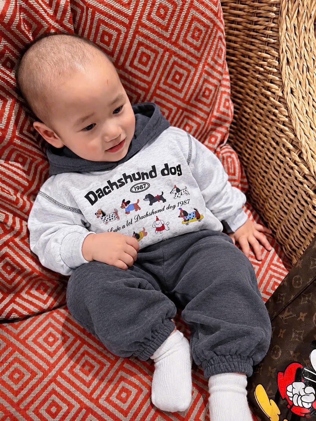 BỘ NỈ BÉ MÀU GHI HÌNH CON VẬT