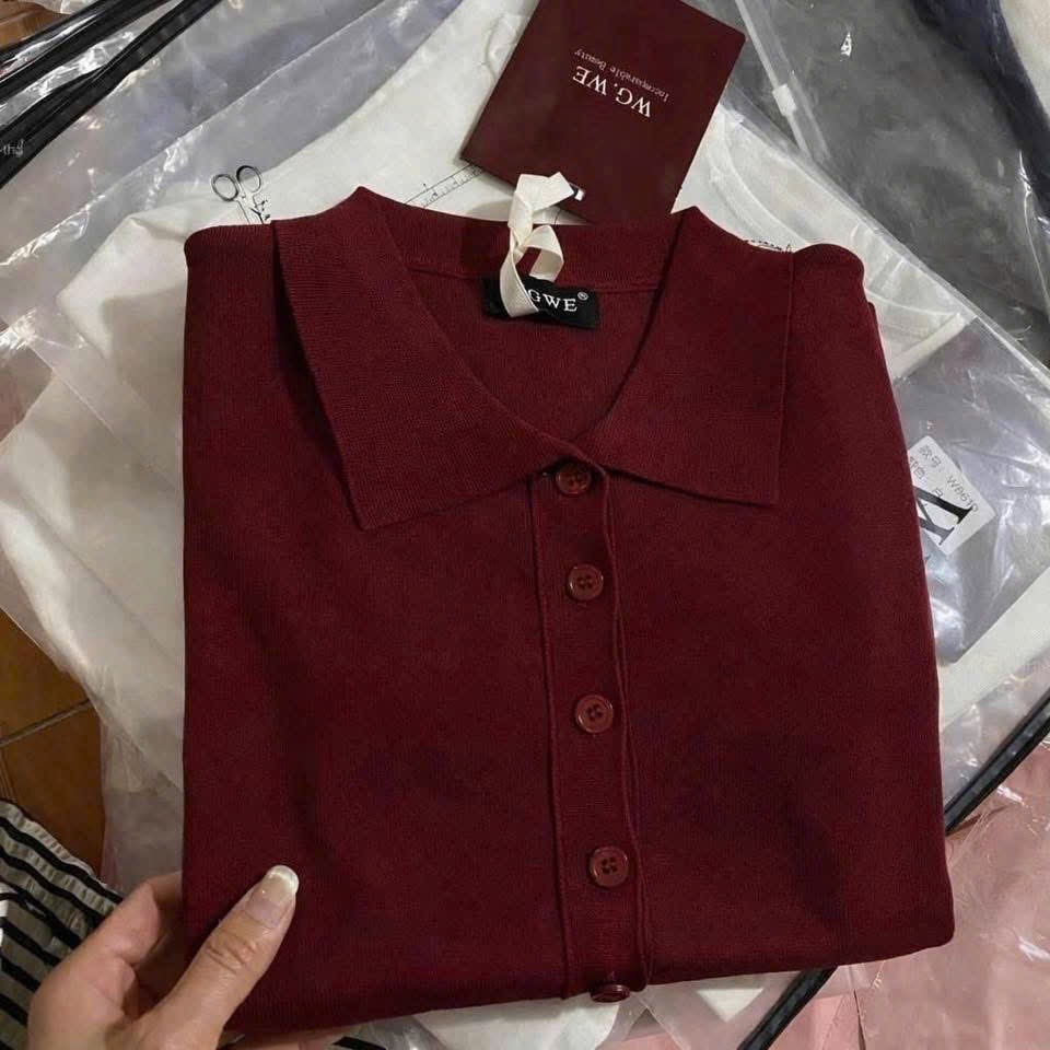 ÁO POLO TRƠN WG.WE 6 MÀU CHO NỮ M8770