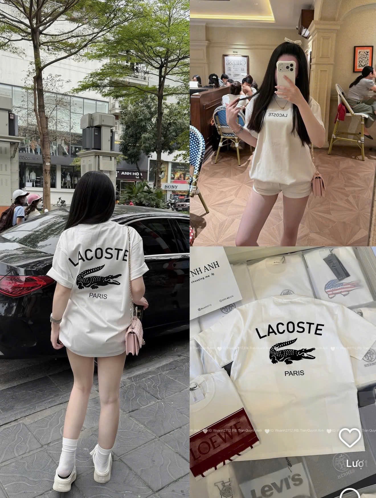 ÁO PULL CÁ SẤU LCT PARIS TRẮNG