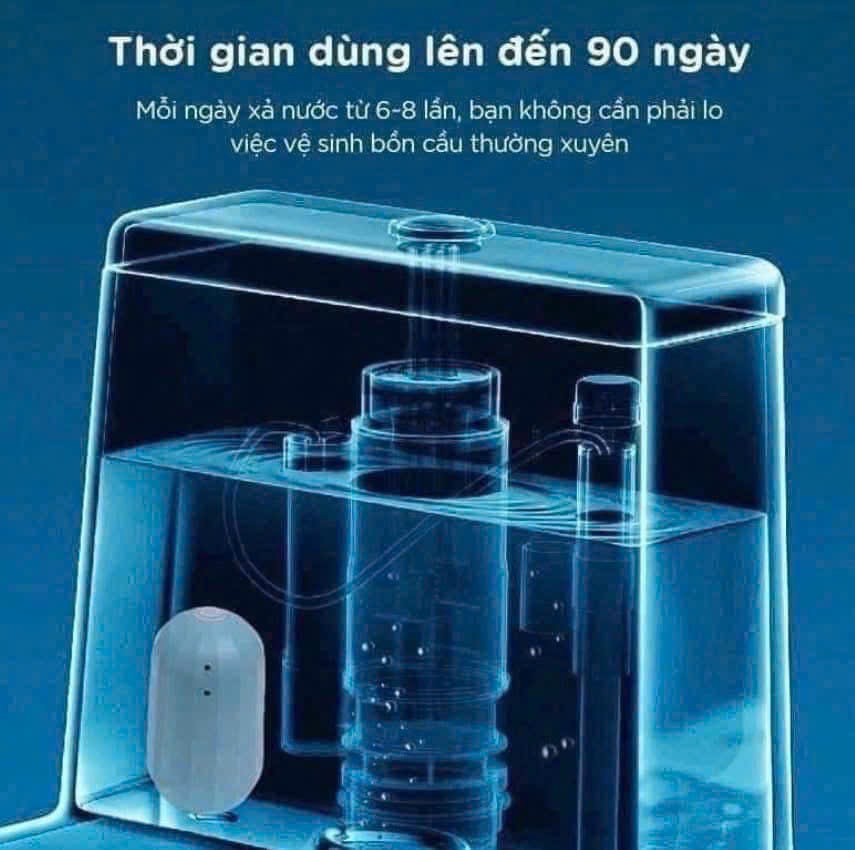 COMBO 3 LỌ TẨY BỒN CẦU XANH