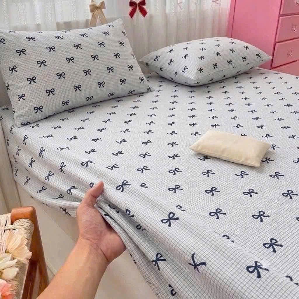 GA GỐI KẺ HÌNH NƠ